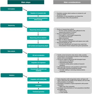 Multi-omic analyses in immune cell development with lessons learned from T cell development